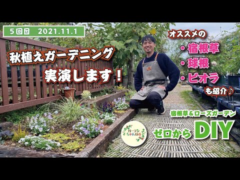 夏にきれいな花を咲かせるには、3月にどの球根花を植えるべきですか?  庭園