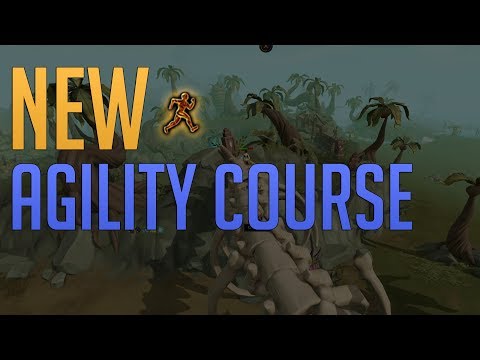 Best Agility course in Runescape 3 | Amazing XP