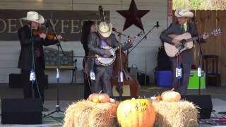 Tommy Brown and the County Line Grass - Old Rattler