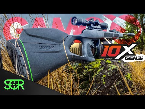 Gamo Magnum Swarm 10X GEN3i .22 Cal - FIRST SHOTS OUT OF THE BOX