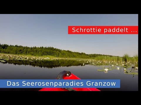 Das Seerosenparadies Granzow