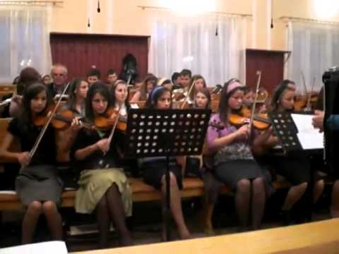 Orchestra din Dobric