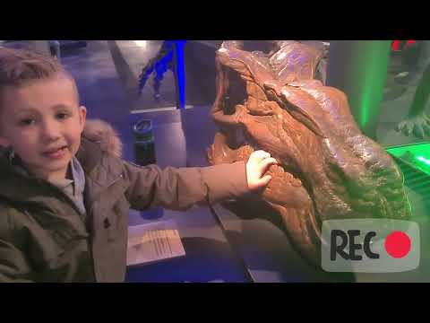 The Hancock Museum, Newcastle Upon Tyne, UK