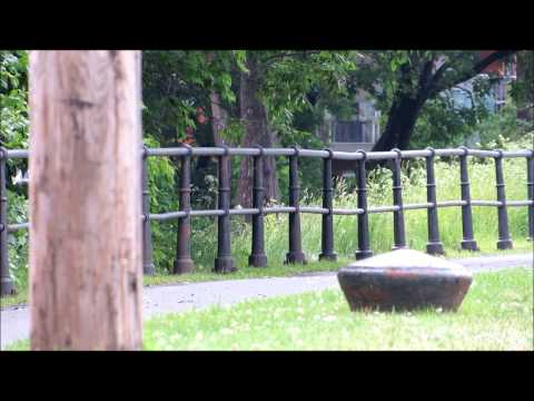 Scènes cocasses à l'Échangeur Turcot (18 juin 2014)