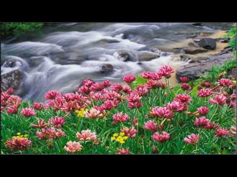 東京エレジー  三條町子【高音質  全音標   HD】