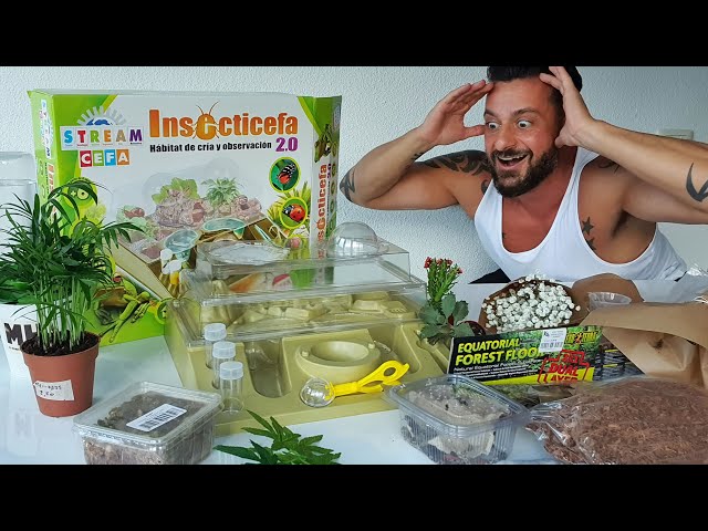Vídeo relacionado con Clementoni La Ciudad de Las Hormigas - Juguete científico para Aprender de los Insectos, CREA un Mundo para Hormigas con Distintos ambientes, a Partir de 7 años, Juguete en español (55508)