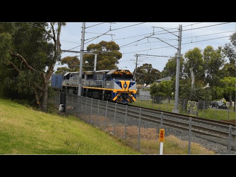 VL356 & VL357 on the Up Maryvale Paper Train | VL356 & VL357