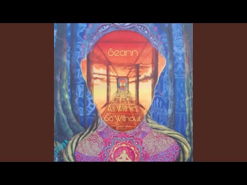 All Reasons - Seann Medicina