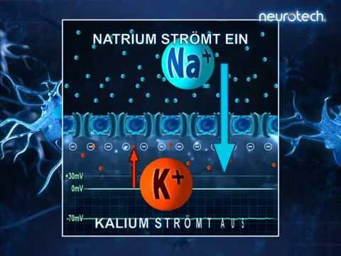nátrium-kálium hipertónia magas vérnyomás esetén ihatok-e