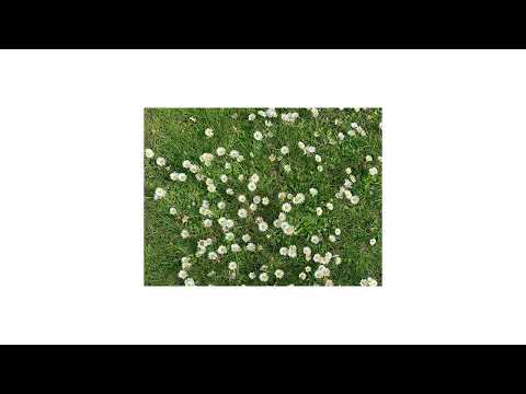 Miniatura de Твоя страна (Your Country)