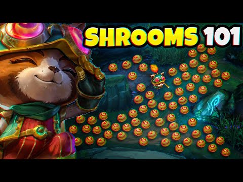 A GUIDE to EVERYTHING you need to know about TEEMO SHROOMS 🍄
