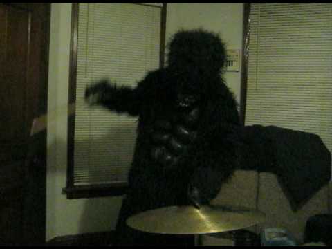 Crazy Gorilla Drummer - Bows a Cymbal
