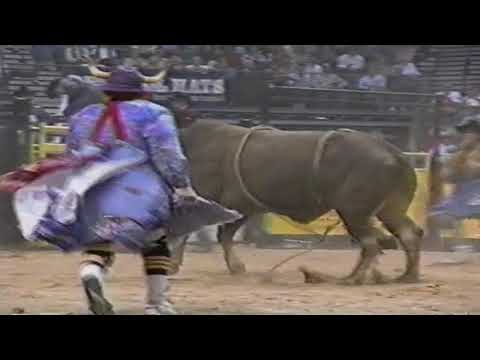 Jerome Davis vs Red - 95 PBR Finals (88.5 pts)