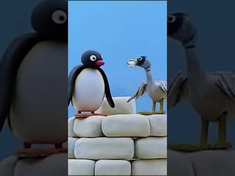 Animal Feeding Time! 🐧 #Pingu - Kids (0-4), Kingdom Kids Zone, Shorts - Pingu - Official Channel