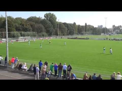 Samenvatting ADO DH onder 18 - Baronie A1 4-2