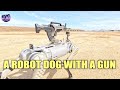 Robot dog highlighted at China-Cambodia Joint Military Exercise