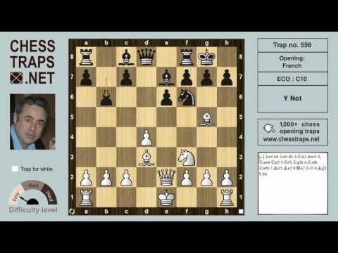 French Rubinstein - "Y" Not (trap no. 556)