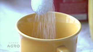 Somos Agro - Cana-de-Açúcar