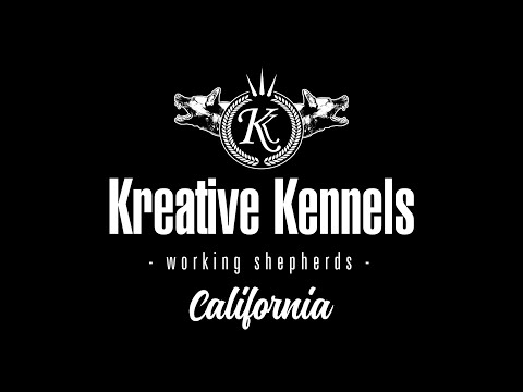 Nali and Narja of Kreative