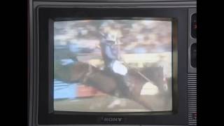 Psychic Ills "Inner Journey Out" Album Teaser