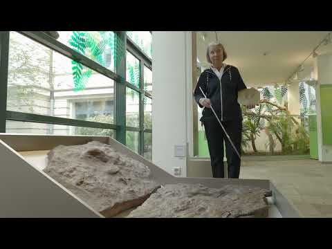 Fossile Fußabdrücke von Dinosauriern, erläutert von Dr. Anette Richter im Landesmuseum Hannover