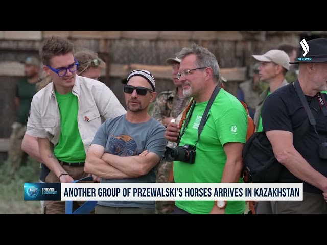 Kazakistan’a bir grup Prjevalski atı daha getirildi