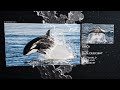 NIGHTWISH Procession Official Lyric Video