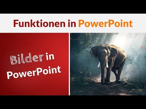 Bilder zuschneiden und bearbeiten | Funktionen in PowerPoint