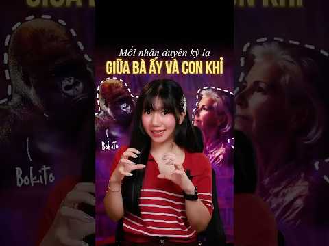 🐒 Con khỉ này đã tấn công người phụ nữ mà đã ngắm nhìn nó suốt 2 năm liền #storiesbythi