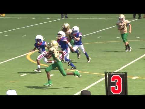 8.12.17 Peachtree Ridge NN  vs. Grayson AS (Williams) - 9 Year Olds - Bay Creek Park Jamboree