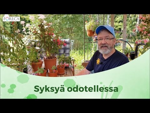 , title : 'Syksyä odotellessa'