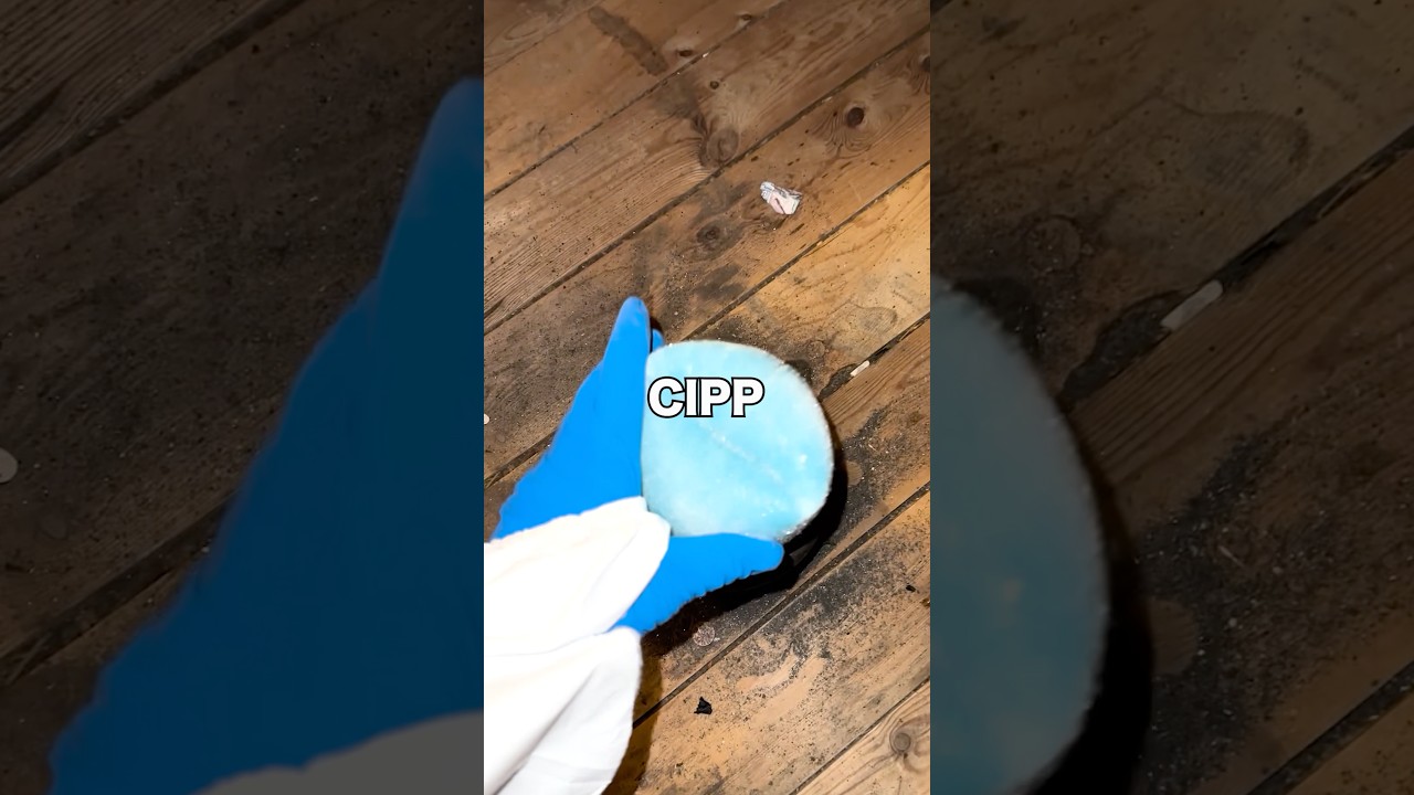 CIPPとは