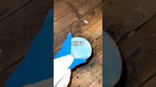 CIPPとは のサムネイル