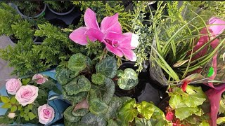 ЗАВОДСКОЙ РАЙОН ЗАПОРОЖЬЕ 13.04.2026