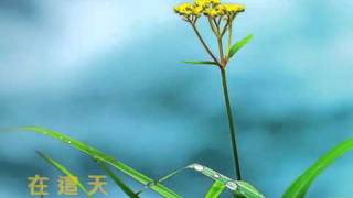 國度﹣團契遊樂園7﹣新一天,新的開始