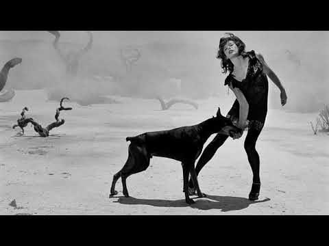 Swanky Tunes feat. LP - Day By Day