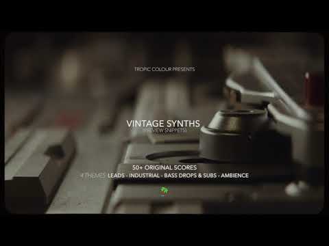 Free Download Vintage Synths WAV