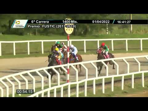 220401 c06 - MACANEO - HIPODROMO LAS PIEDRAS