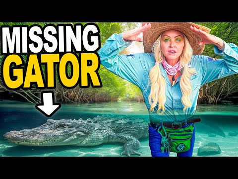 Wir können unseren neuen Riesenalk nicht finden?