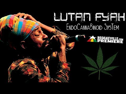 Lutan Fyah - EndoCannaBinoid System [Official Audio 2017]