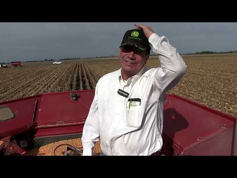 Marion Calmer - Combine Kill-Stop Examination (Part 4 - Tailings Elevator)