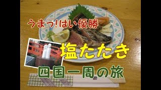四国一周の旅　四国徳島でかずら橋周辺駐車場で人形に話しかける男#4