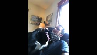 My black lab loves me