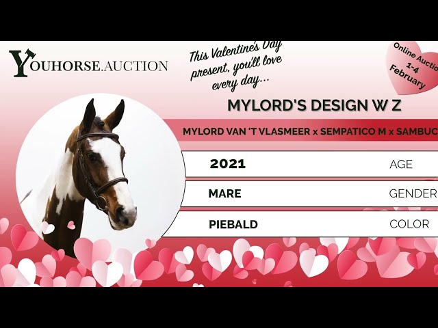 Mylord's Design homevideo