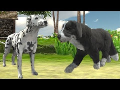 Dog Simulator 3D Video