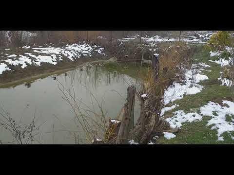 Balta de acasa dupa ninsoare / Anunt important Giveaway