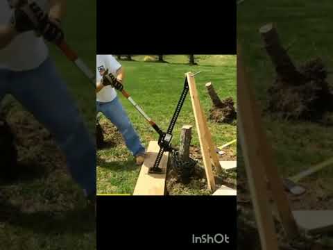 удаление пней просто