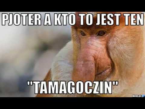 TACONAFIDE Tamagotchi OllO remix project