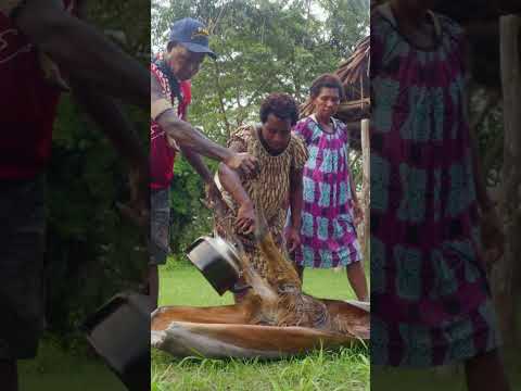 Comiendo el ave más peligrosa 😱⚠️