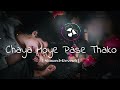 Chaya Hoye Theko Pase Sarajibon Full Song Hd Quality Lofi Lofibengali